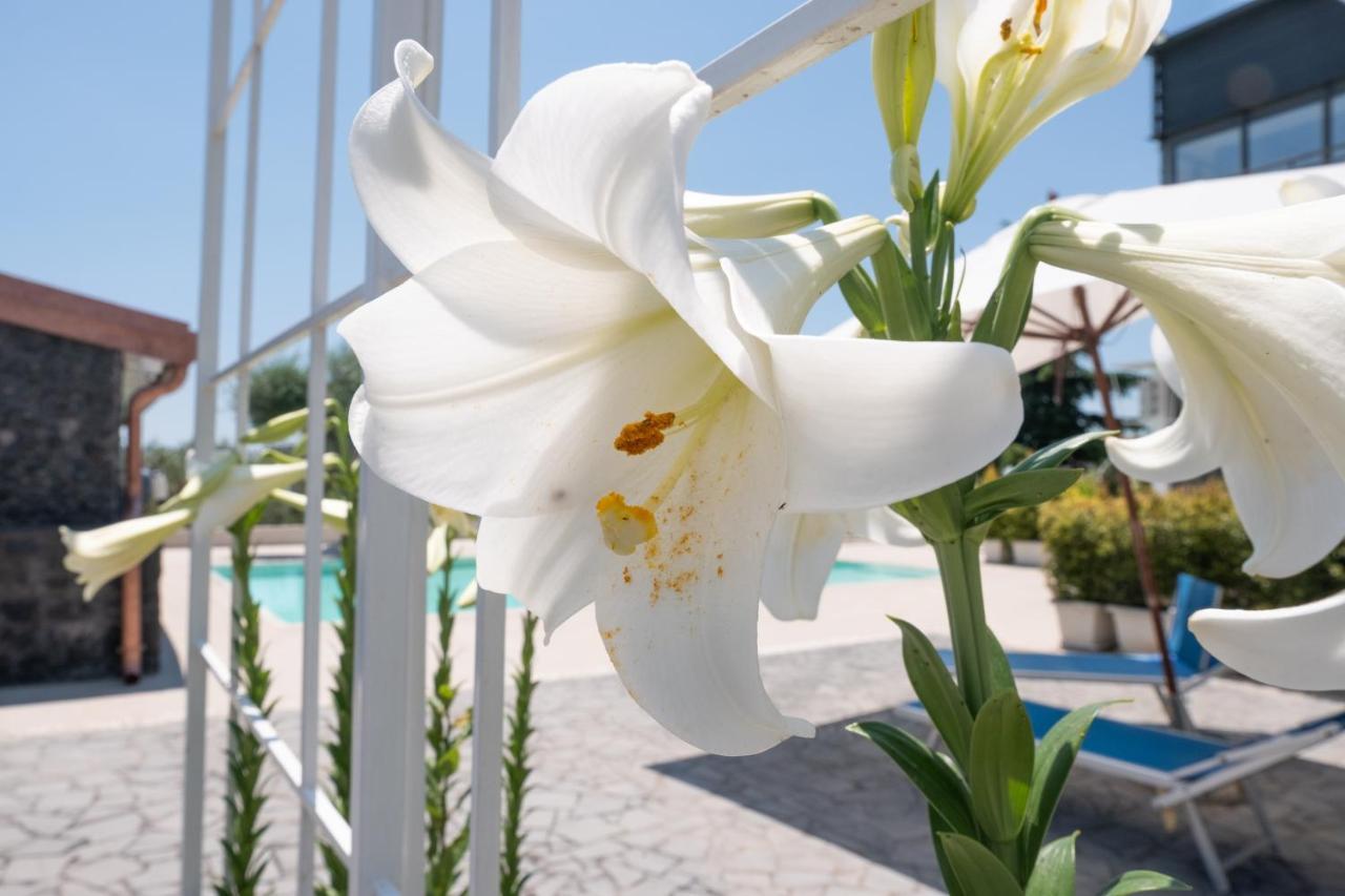 Lux Suite Sicily Mascalucia Exteriér fotografie